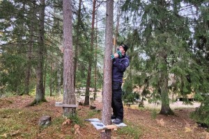 Äventyrsbanan Lipered