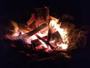 wp-image-2033976394jpg.jpg